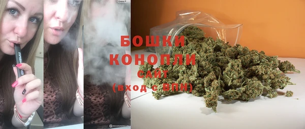 крисы Заводоуковск