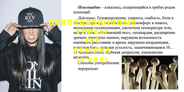 крисы Заводоуковск