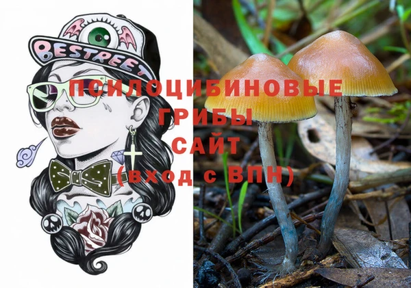 крисы Заводоуковск
