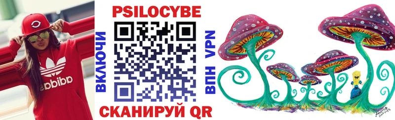 Купить  Венёв  Псилоцибиновые грибы мицелий 